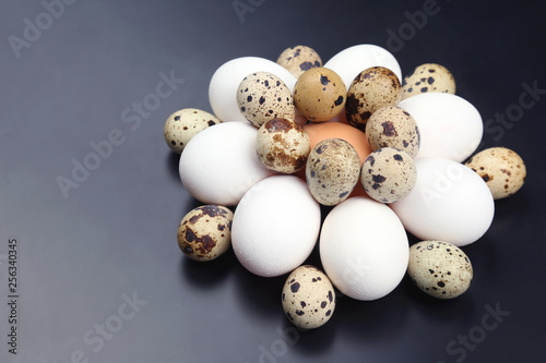 different quail and chicken eggs lie on dark background