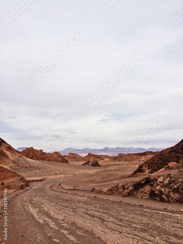 desert in wadi rum jordan © denisse