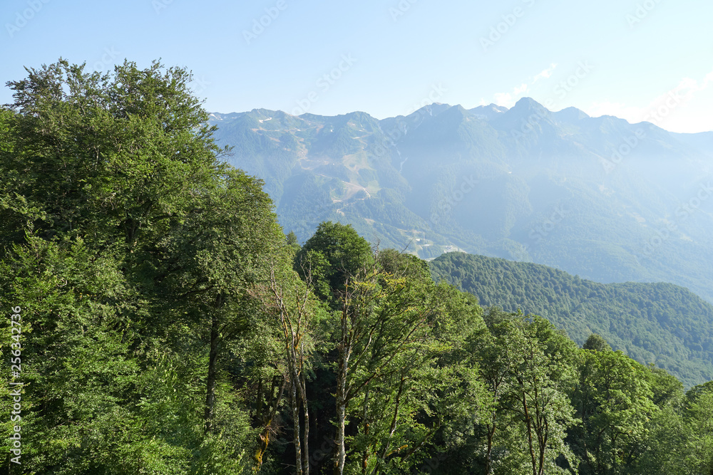 Mountain range with the green slopes on a clear summer day. Ski slope in summer. Mountains in the summer.