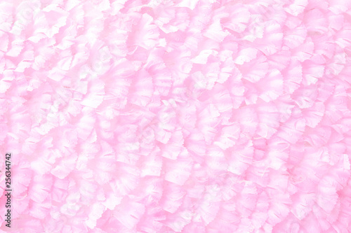 Fototapeta Naklejka Na Ścianę i Meble -  Pink flower background