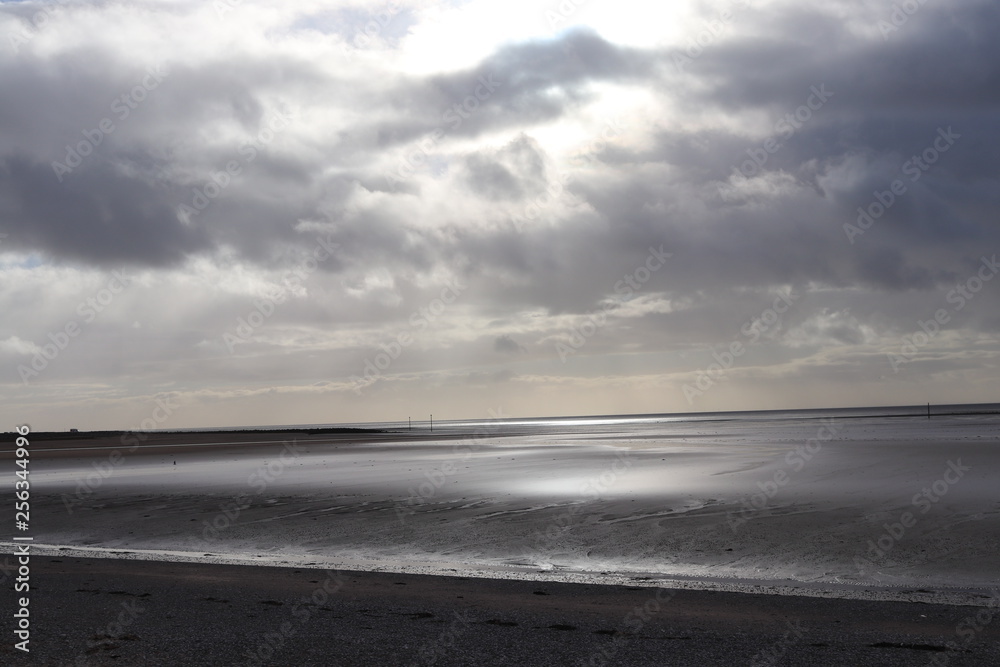 Beach still life