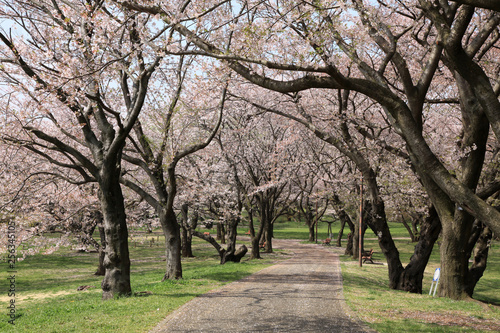 東京-昭和記念公園