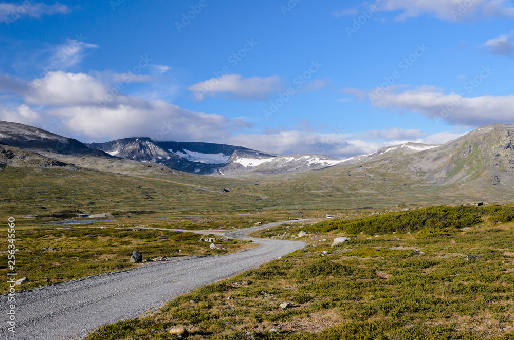 Norwegian fjaeldmark in the Jotunheimen national park
