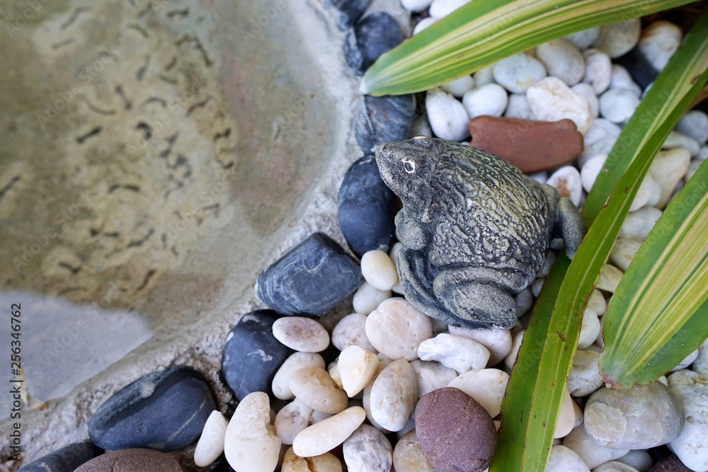 Frog doll lying on the stone with pond in the garden