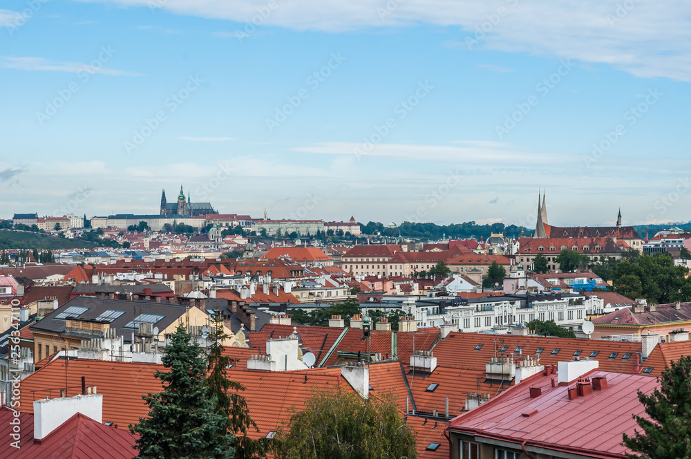Prague, Czech Republic, the Cathedral of St. Vito, the rooftops of the city, a beautiful view.