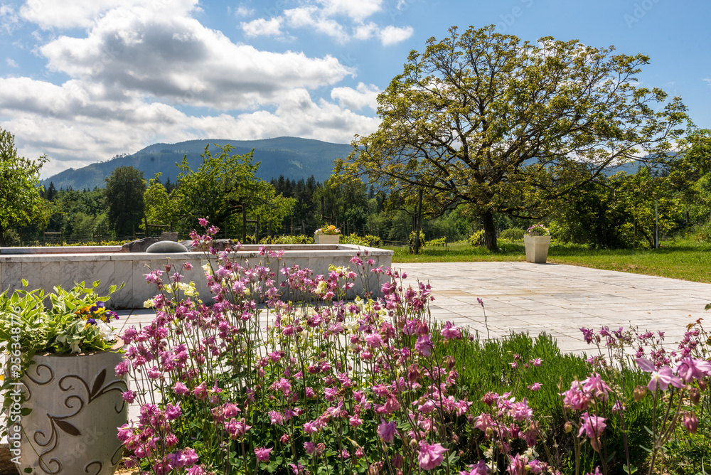 Garden with Mountain background