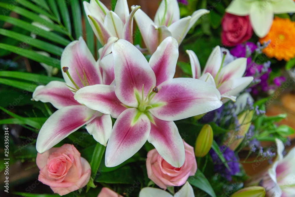 bouquet of flowers