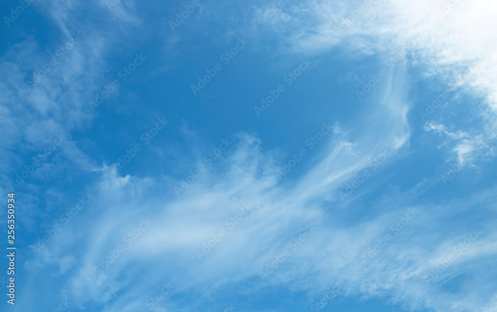 Fototapeta premium sky