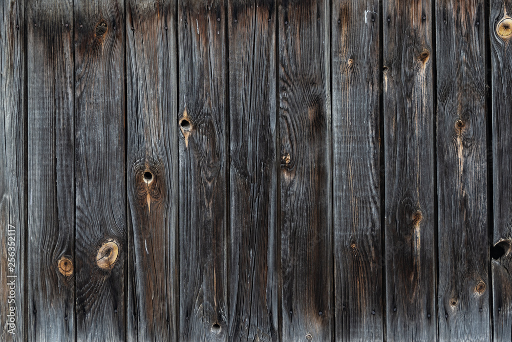 Fototapeta premium The texture of the old wooden fence dark color