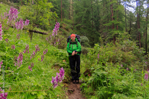 Woman tourist with a backpack goes along the path in a green rain forest of coniferous