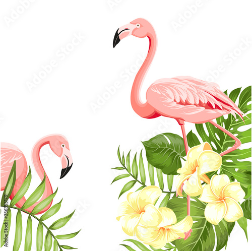 Flamingo bird and plumeria flowers isolated over white background. Tropical birds and flowers illustration. Fashion summer print for invitation card and your template design. Vector illustration