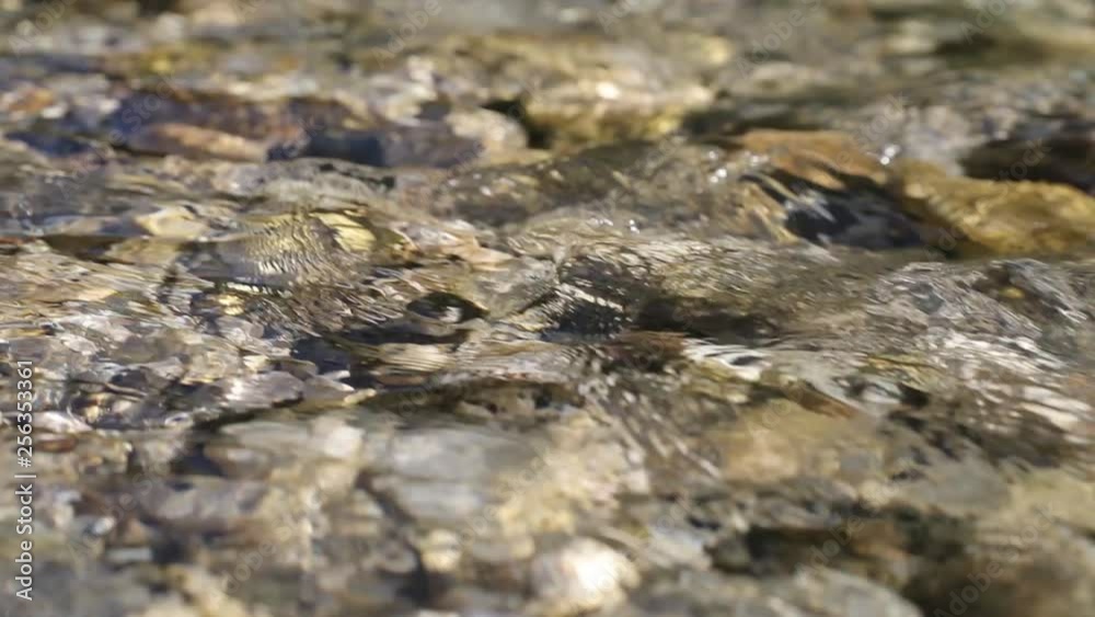 Water of fast river was filmed in slow motion in Italian Dolomites. Water of fast river was filmed in slow motion in Italian Dolomites.