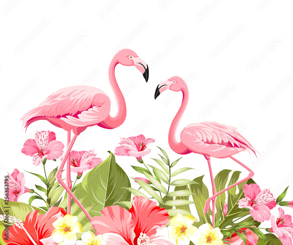 Obraz premium Beautiful card with a wreath of tropical flowers. Tropical flower garland. Blossom flowers for invitation card over white background. Vector illustration.