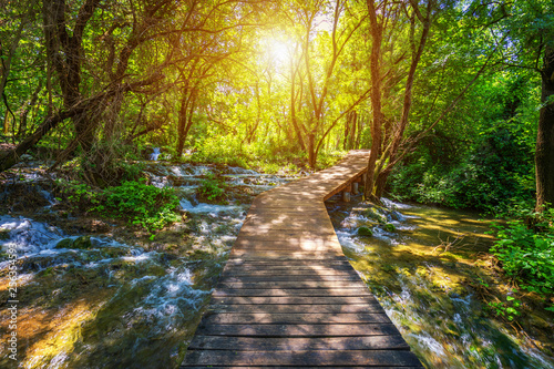 Krka national park wooden pathway in the deep green forest. Colorful summer scene of Krka National Park, Croatia, Europe. Wooden pathway trough the dense forest near Krka national park waterfalls.