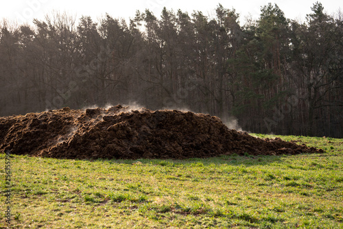 A pile of manure on an agricultural field for growing bio products