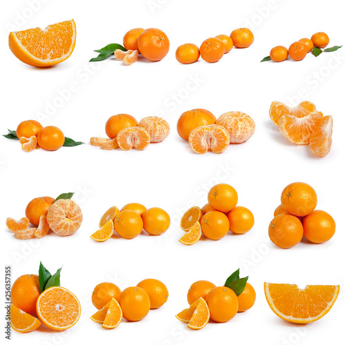 Collage of fresh citrus isolated on white background
