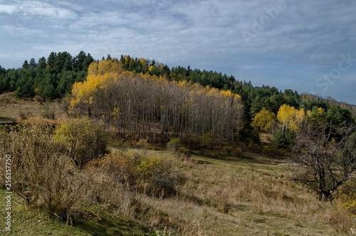 Amazing autumn view of glade, hill, forest with deciduous and coniferous trees around Batak dam reservoir, Rhodope mountains, Bulgaria 