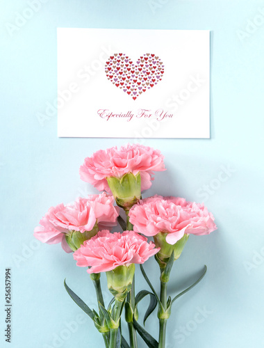 Beautiful fresh blooming baby pink color tender carnations isolated on bright blue background, mothers day thanks design concept,top view,flat lay,copy space,close up,mock up