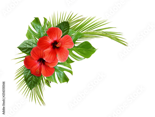 Hibiscus flower and palm le...