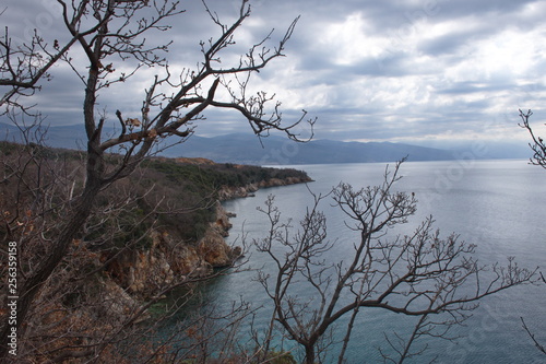 Rocky coast line through the trees