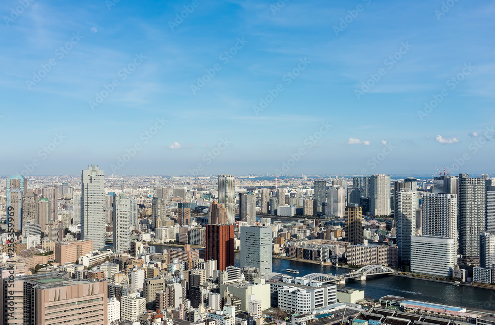 Obraz premium 春の東京ベイエリアの風景 汐留から望む東京ベイエリア