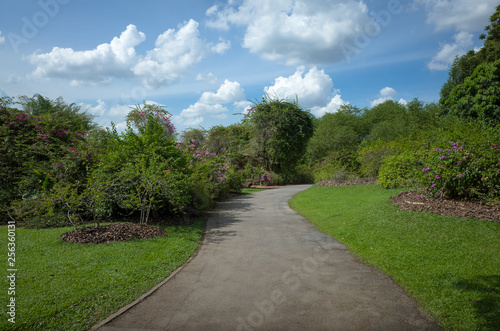 Wide Walking Path at Botanical Gardens on Sunny Day - Singapore