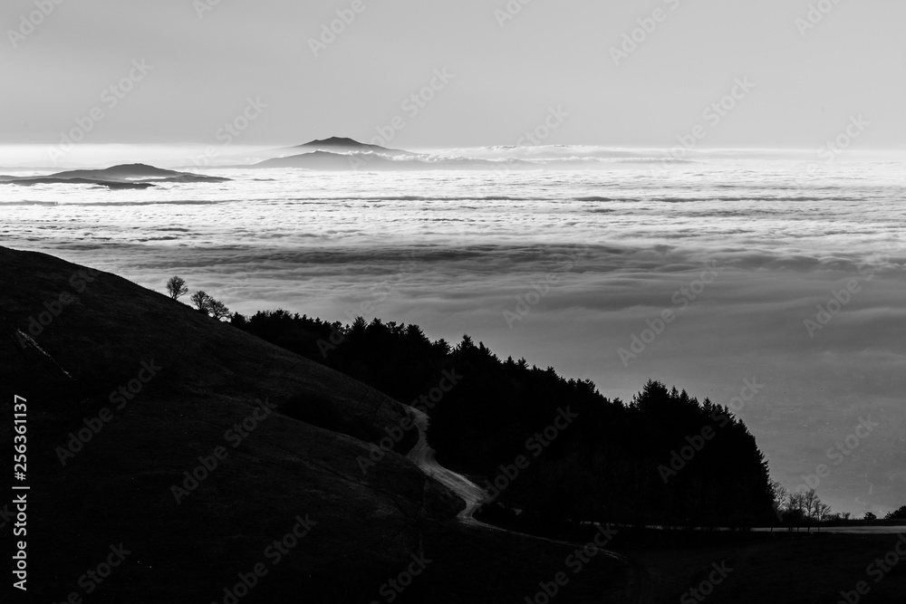 Beautiful view of Umbria valley (Italy) covered by a sea of fog, with a mountain road and trees silhouettes in the foreground