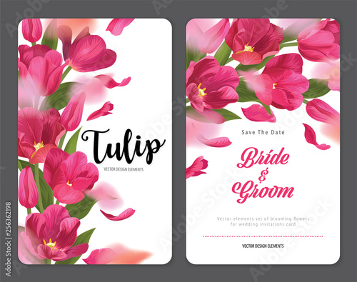Blooming beautiful pink tulip flowers background template. Vector set of blooming floral for wedding invitations, greeting card, voucher, brochures and banners design.