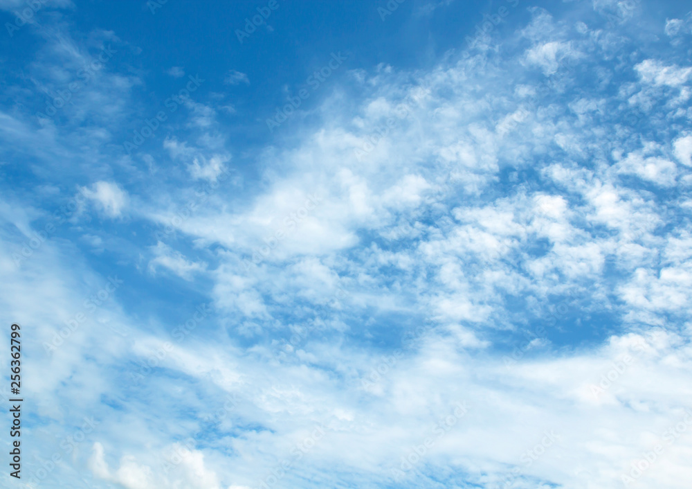 Fototapeta premium sky