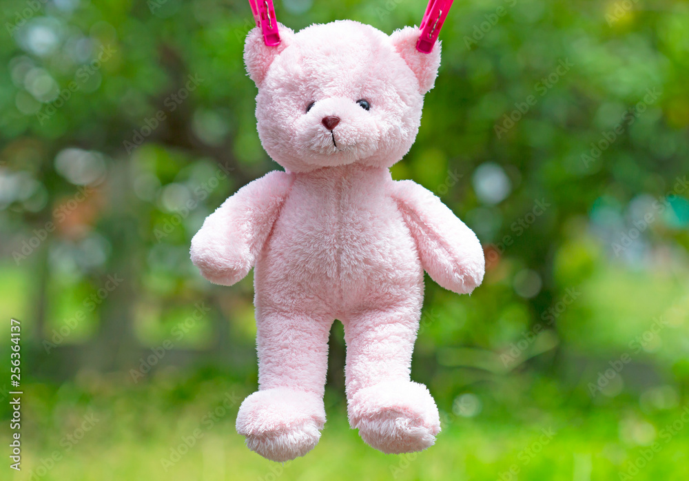 Teddy bear hanging Teddy bear hanging