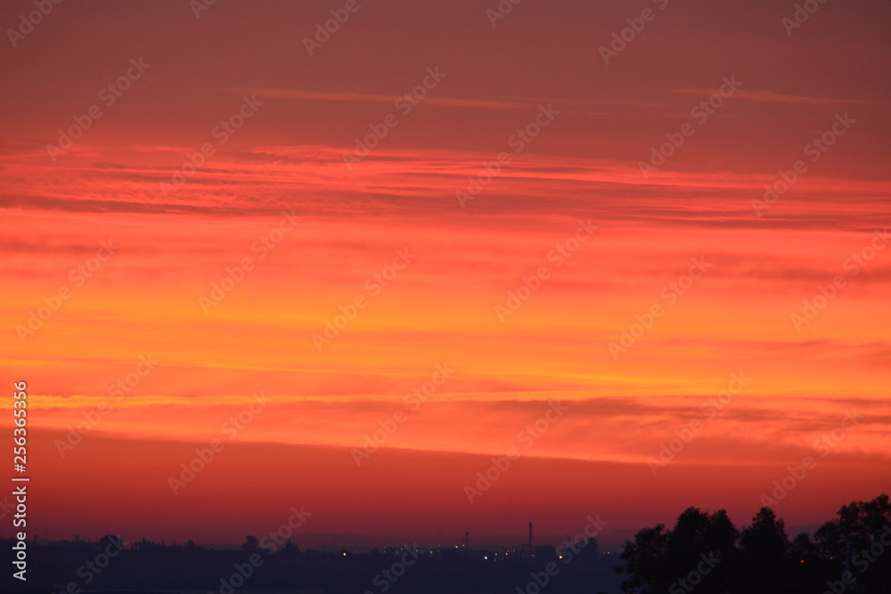 Naturaleza, amanecer, aves, ciervos, caballos, barcas 