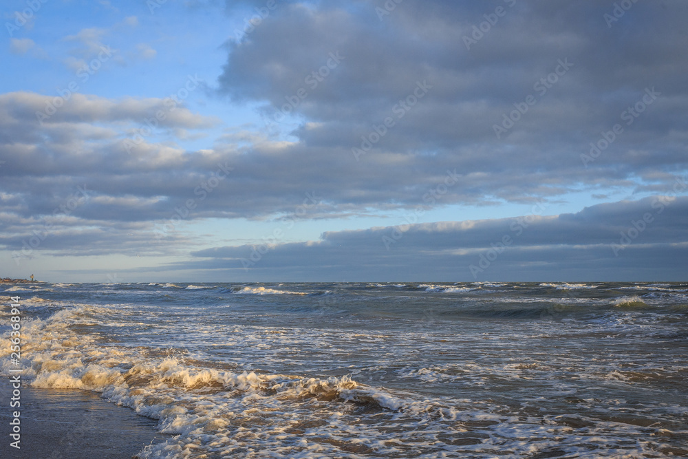Fototapeta premium beach and sea in winter