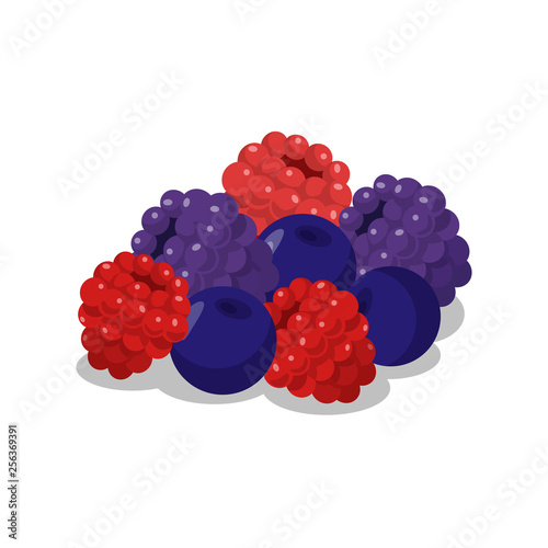 Delicious Ripe Berries Cartoon Vector Illustration