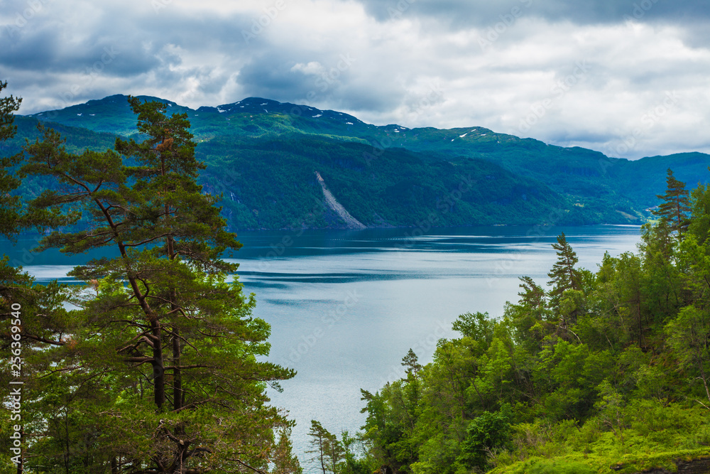 Fjord landscape, Saudafjord in Norway