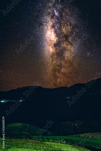 Landscape with Milky way galaxy over tree. Night sky with stars. Long exposure photograph.