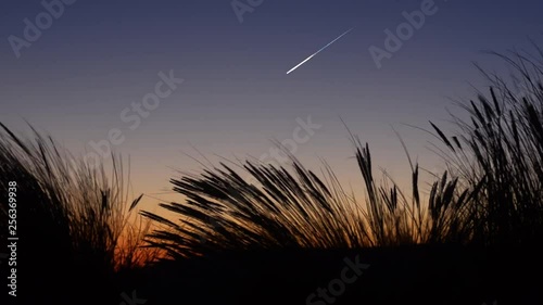 Bright falling star (meteor) in twilight sky with waving beach grass. photo