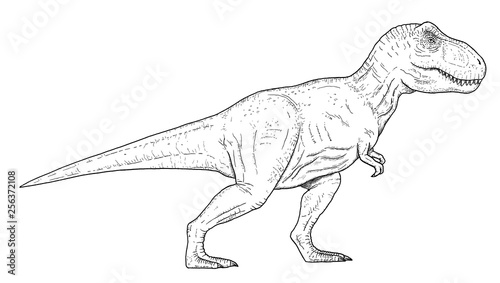 Drawing of dinosaur - hand sketch of tyrannosaurus rex, black and white illustration