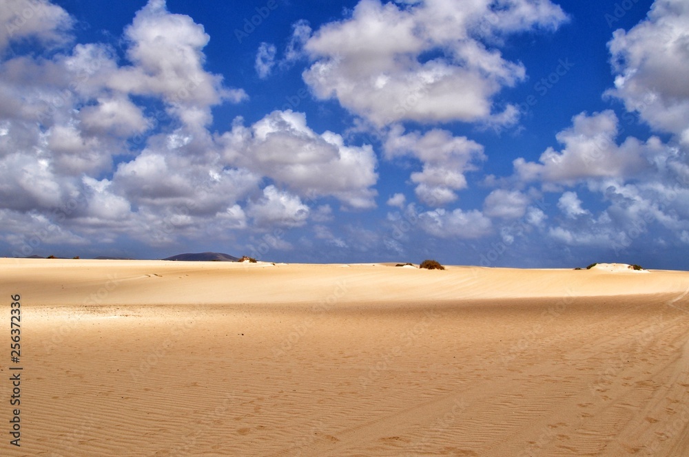 sand dunes of corralejo on fuerteventura canary island in spain