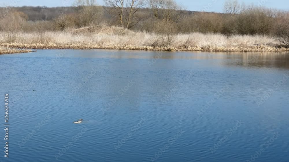 Beautiful view of the lake in spring Beautiful view of the lake in spring