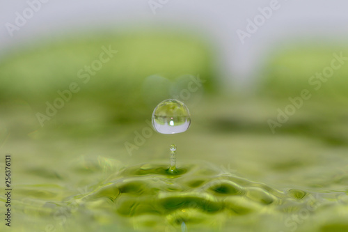 Drop of water in green background.