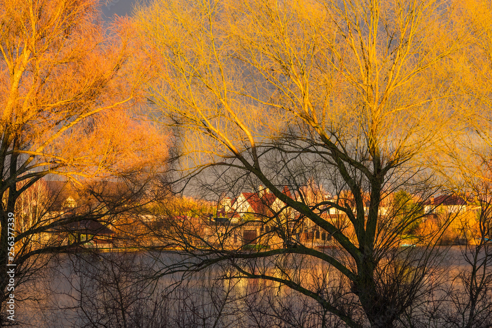 Obraz premium Golden magical landscape with rainbow 