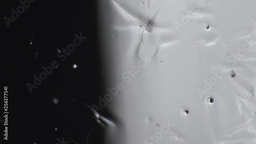 snowflakes are falling on wet glass and turning into a frosty pattern