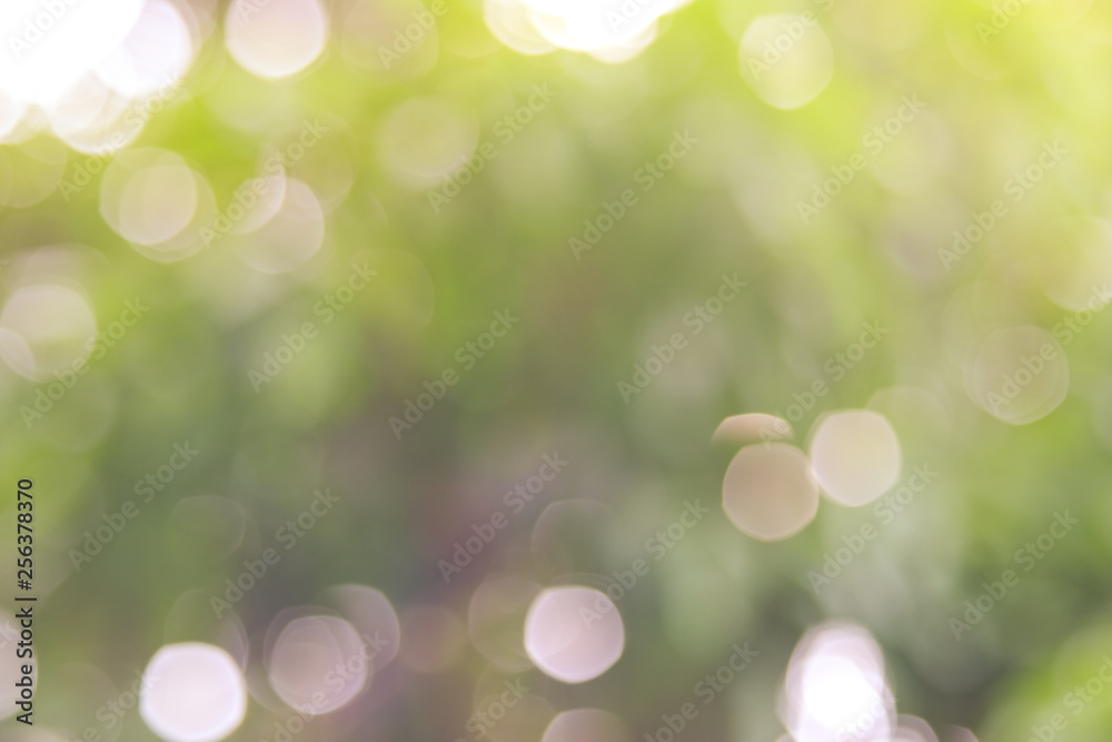 Obraz premium Defocused abstract nature background yellow leaves and bokeh lights. Royalty high-quality free stock image of natural blurred bokeh background from leaf with copyspace for text advertising design