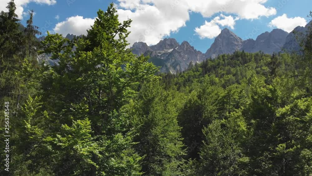 Slovenia. Flying over Triglav National Park covered with dense green pine woods. Julian Alps are seen in the background. Slovenia. Flying over Triglav National Park covered with dense green pine woods. Julian Alps are seen in the background.