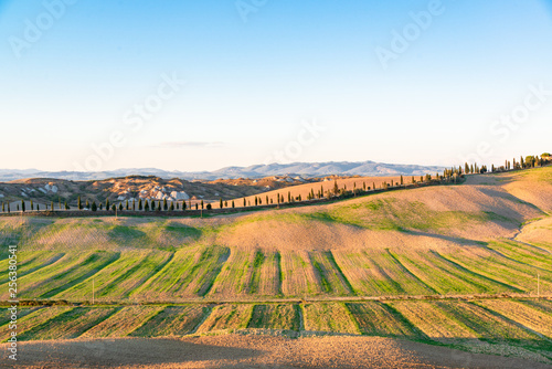 Landschaft der Crete Senesi, einem Getreideanbaugebiet mit karstigen Abschnitten. Hier im Herstlichen Abendlicht