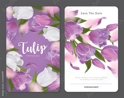 Blooming beautiful purple with white tulip flowers background template. Vector set of blooming floral for wedding invitations, greeting card, voucher, brochures and banners design.