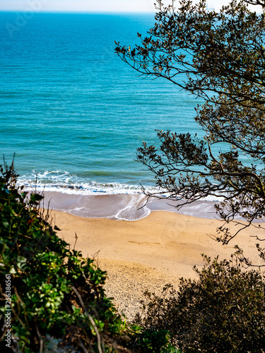 Sandy beach through trees with waves coming in