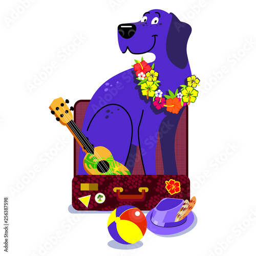 Cute dog in a suitcase, Hawaii, vacation