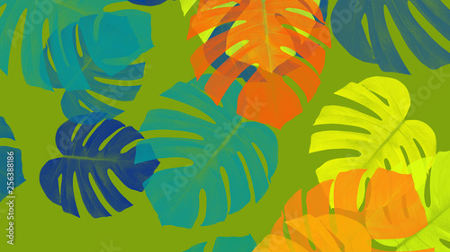 monstera color abstract background