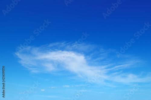 White clouds in the blue sky.